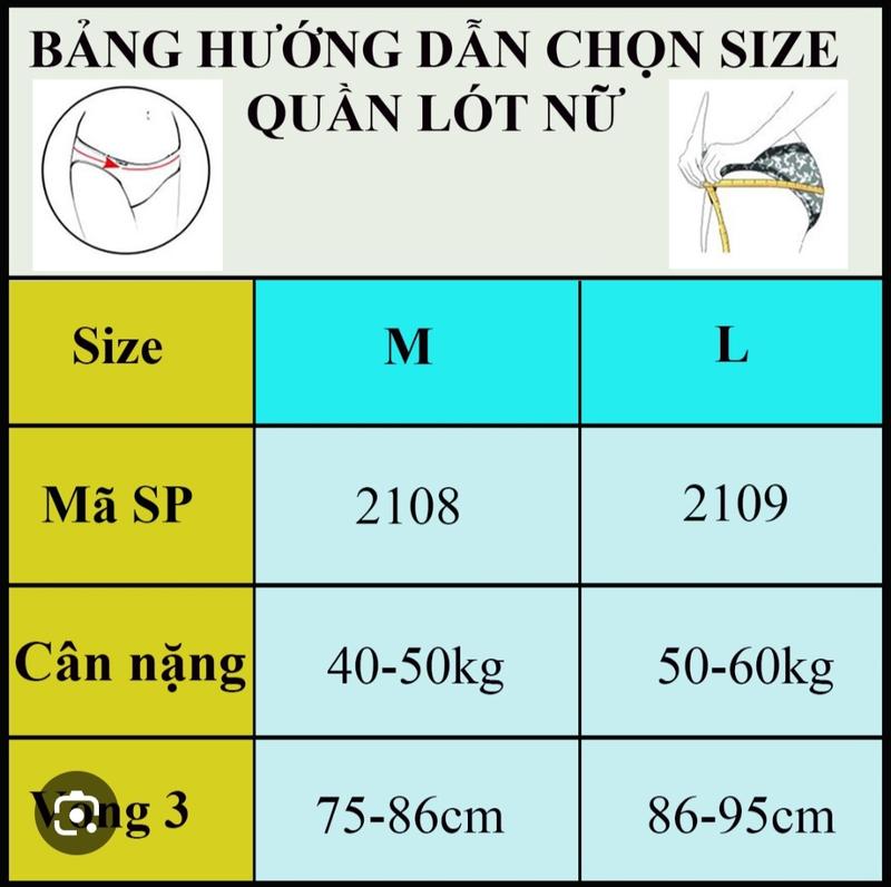 Product Introduction of Sét 5 Quần Lót Cotton Cao Cấp Cạp Cao Nữ Women Voi Nhung 0