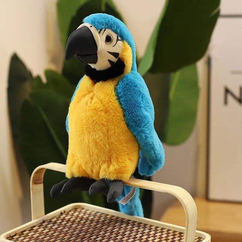 Product Introduction of 25CM Lifelike Bright Colorful Parrot Plush Toys Soft Simulation Wild Animals Stuffed Bird Doll Children Kids Gift Home Decor 5