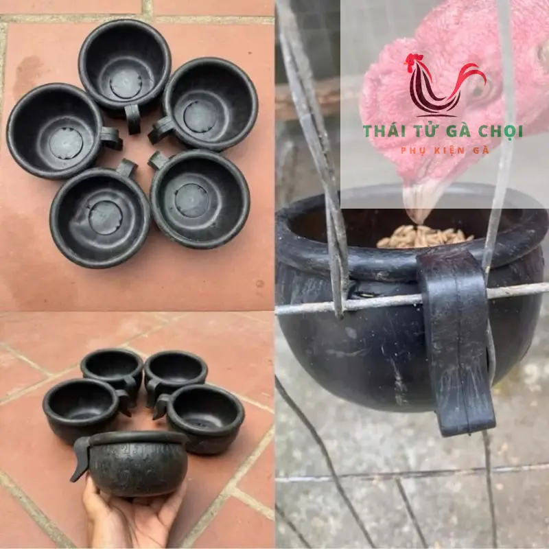 [Combo 10] Gáo Cao Su ăn uống cao su cho gà chọi, bồ câu thaitugachoi