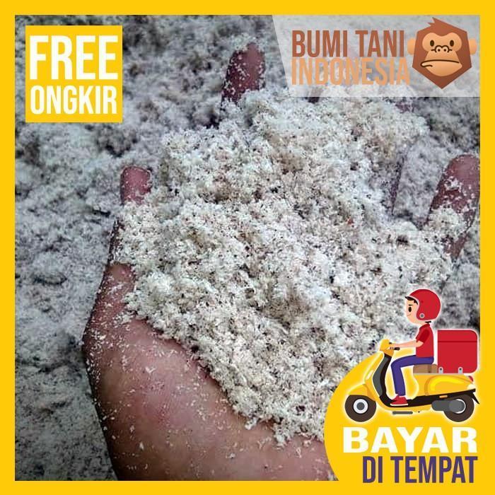 ampas kelapa media penetasan baby maggot bsf 3