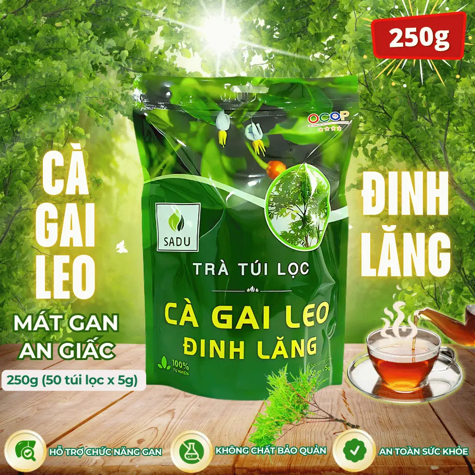 Trà Cà Gai Leo ĐINH LĂNG SADU 250g (50 túi lọc) Hỗ Trợ Giải Độc Mát Gan Mất Ngủ - Nước Trà Chè Tea ca gai Không Chua