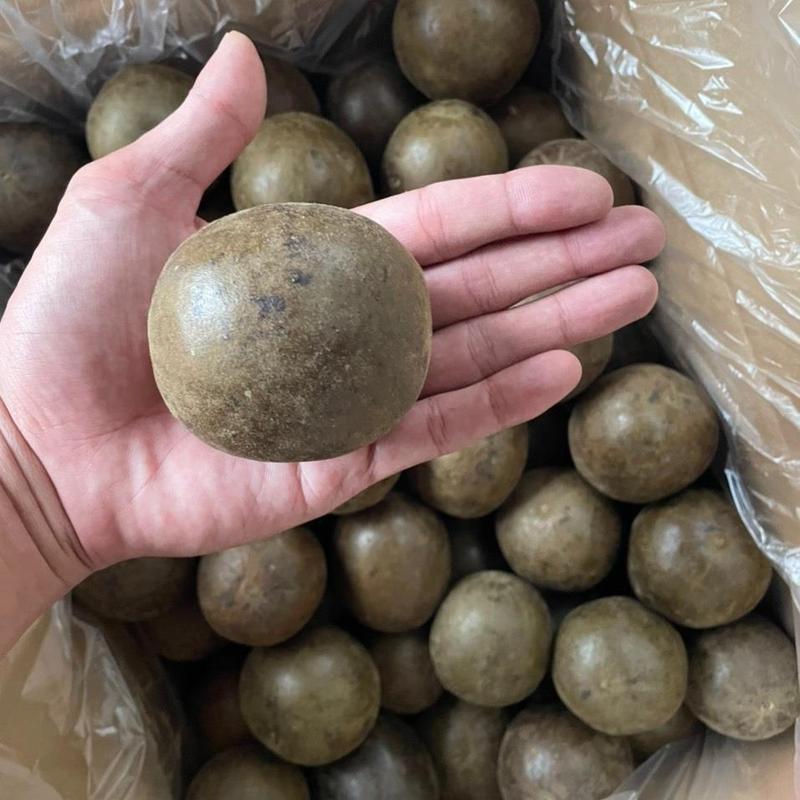La hán quả siêu to loại 35q/1kg - loại 1 già khô ngọt tự nhiên - siêu vip 1