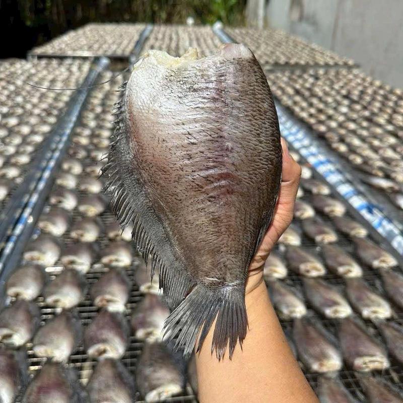 1 Ký Khô Cá Sặc 2 Nắng Vị Vừa (8 con) Không Ship Miền Bắc Food