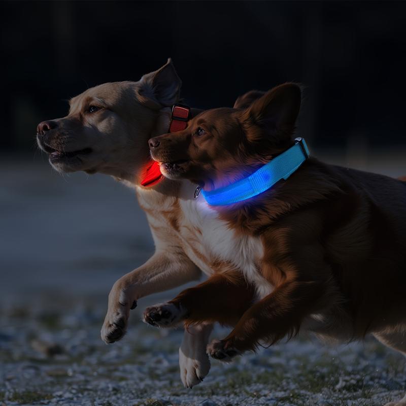 Product Introduction of LED luminous pet collar, suitable for small and medium-sized dogs - keep your pet safe and visible during nighttime walks, slightly waterproof 3