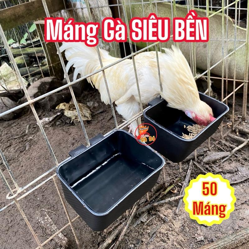 SET 50 Máng ăn cho gà chọi Siêu Bền, máng ăn uống cho gà nhựa dẽo bền bỉ, máng nhựa đen