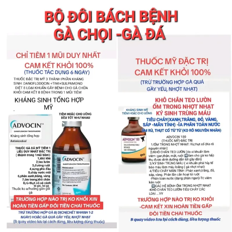 Thuốc gà mỹ-BỘĐÔI BACHBỆNH(thuốcphòngbệnh-thuốctrị bệnh),(Thuốcnhỏmiệng -thuốc pha nước) 2