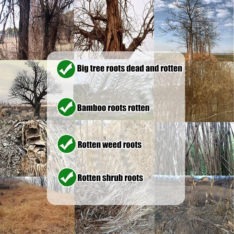 Herbicides remove large trees bamboo shrubs high concentrations of rotten  roots root rot and root death