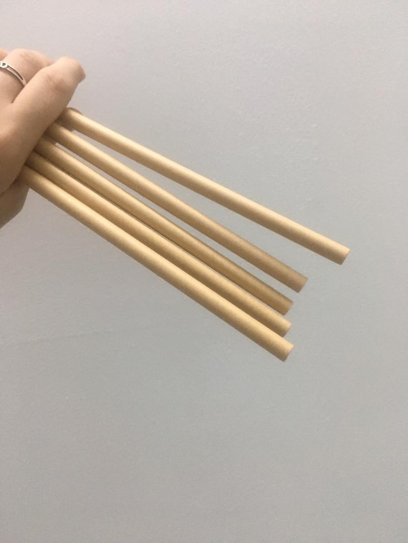 Product Introduction of Giá sỉ thùng 1000 Ống hút giấy Biogreen các size 6, 8 - Màu trắng, nâu kraft - Bọc màng và Không bọc màng 19