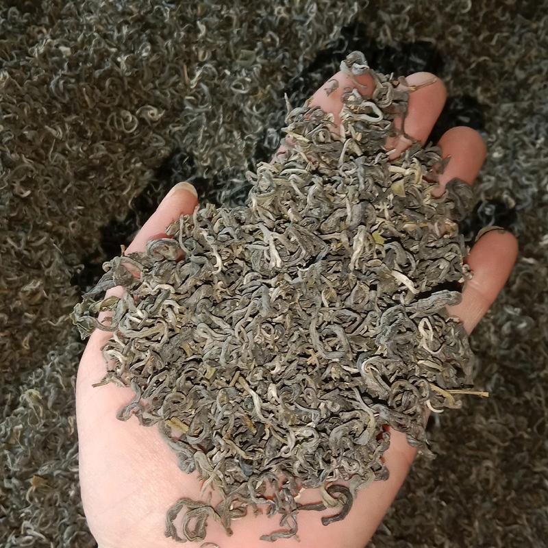 1 tôm 1 lá ( 1kg) 300k .  trà shan tuyết cây non nước trà xanh