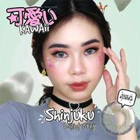 Gambar Softlens X2 Kawaii Exoticon 14.5mm Shibuya Shinjuku Asasuka Harajuku - FREE Tempat Lensa soflen dari Laura Softlens Kota Semarang 2 Tokopedia