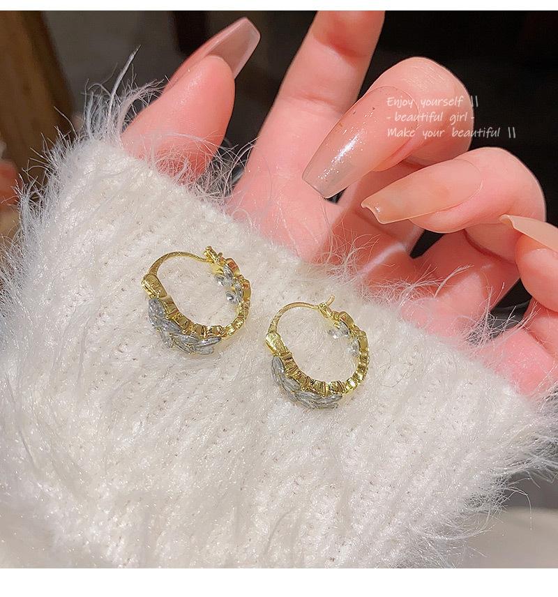 Product Introduction of Luxury small crowd shaking sonic explosive super flashy zircon wheat ear stud ear button ins fashion advanced design earrings earrings 6