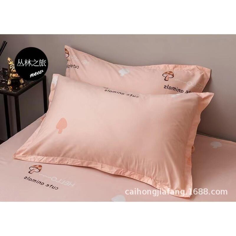 Product Introduction of Pillowcase Pair 48X74 Pillowcase, Brushed Three Piece Set, Children's Bed Four Piece Set, Bedding Sheet 12