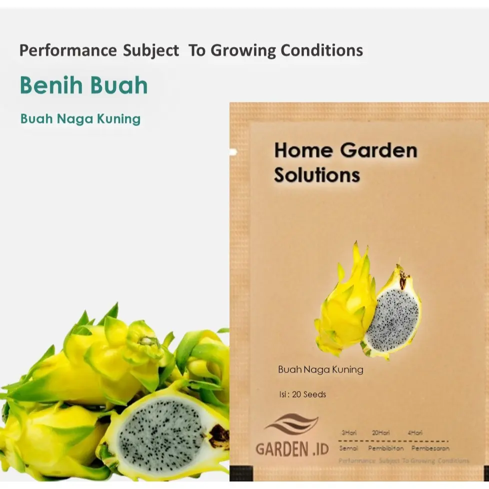 Bibit Benih  Buah Naga Kuning Dragon Fruit Yellow  Isi 20 Biji Fress Seed Mudah Tumbuh