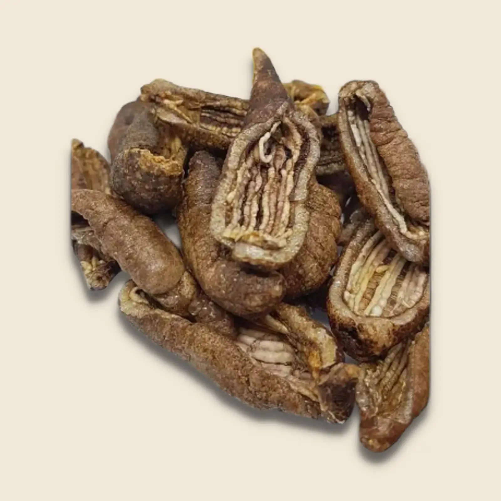 Kerupuk Teripang (Ikan Laut) Lezat dan bergizi 500 Gr Laut Food Snacks
