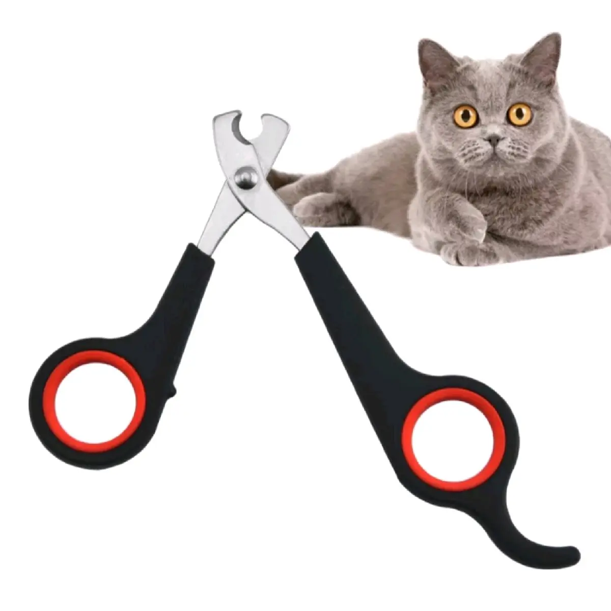 Gunting kuku kucing
