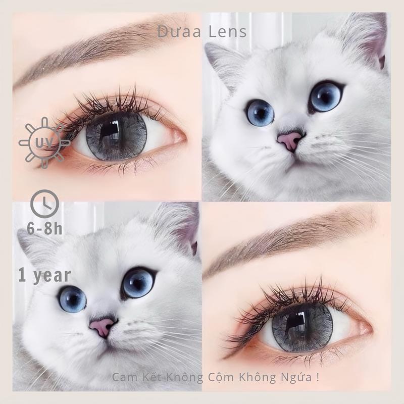 DƯAA LENS - Kính Áp Tròng Xám 062 Tommy Gray Baby Giãn To Siêu Hot bless lens pearly gray mắt ướt mèo