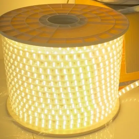 Combo 5m kèm nguồn led dây công nghệ không dây dẫn siêu sáng 2 hàng led hắt trần thạch cao 2