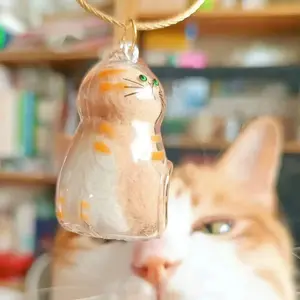 Kotak penyimpanan bulu hewan peliharaan/kapsul kenangan anjing/kucing berbentuk gantungan kunci transparan, pilihan sempurna untuk pecinta hewan.