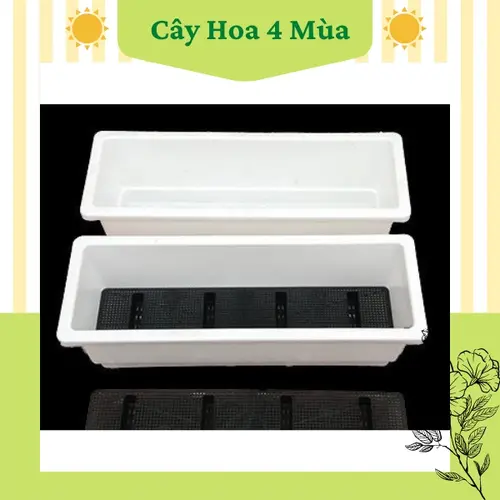 COMBO 2 Chậu nhựa dài trồng rau hình chữ nhật SIZE 48 ( 48X20X16) +2 GIÁ SẮT TREO BAN CÔNG 48CM