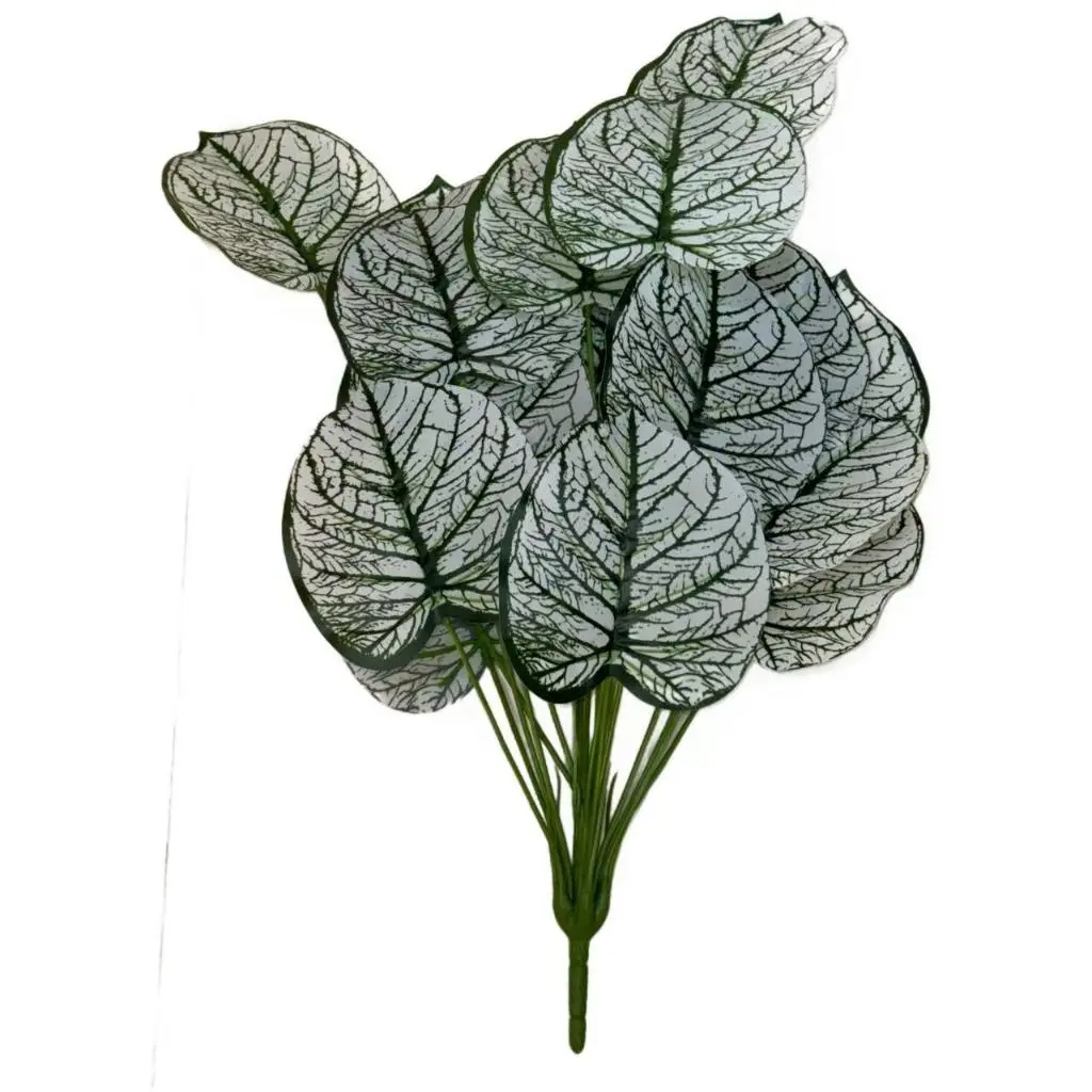 LEAF 903 (tanpa pot)