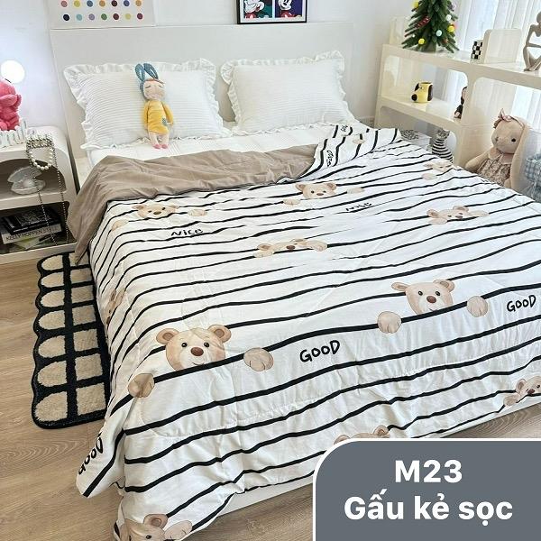 Product Introduction of Chăn hè xơ đậu nành 7