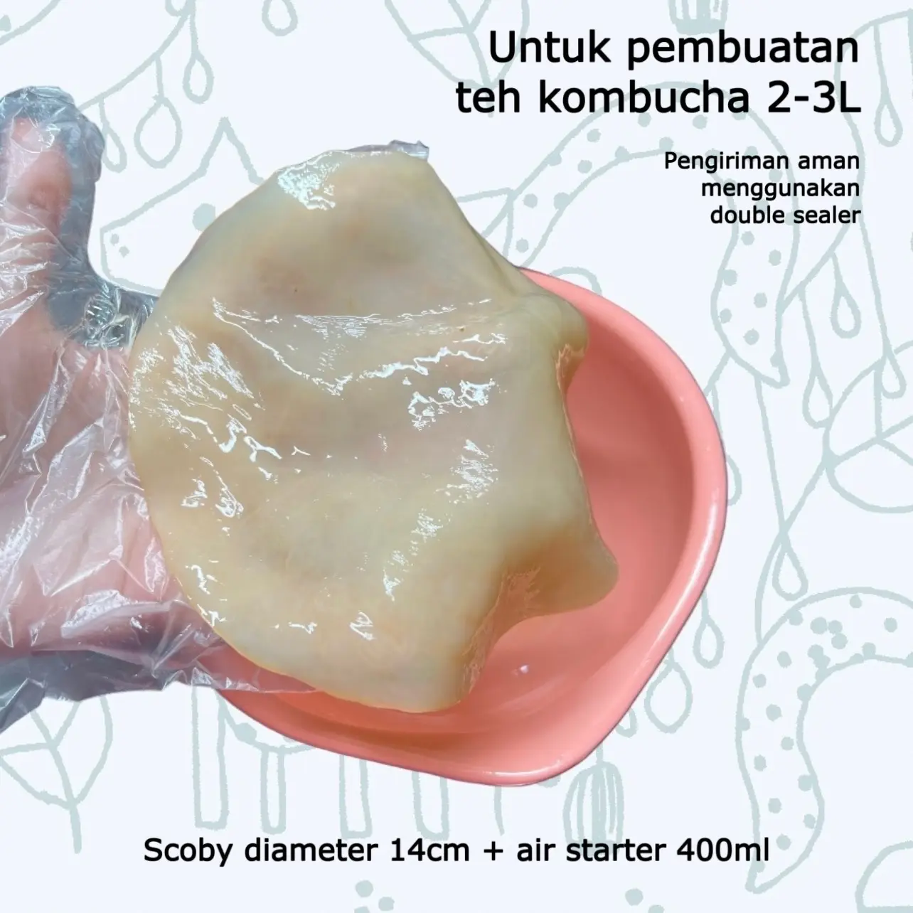Kombucha scoby air starter 400ml Natural Organic
