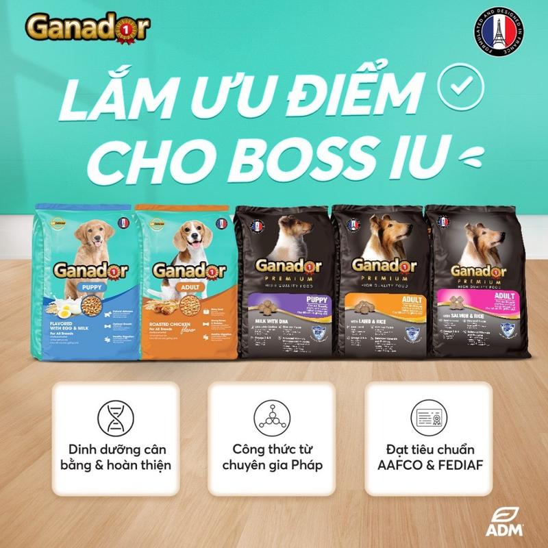 [Bao xá 10kg] - Thức ăn hạt cho chó Ganador - Chất Lượng