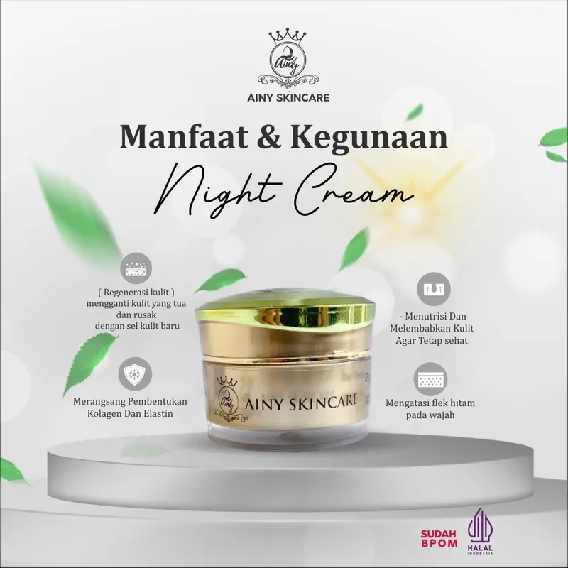 Cream Malam Ainy skincare 2