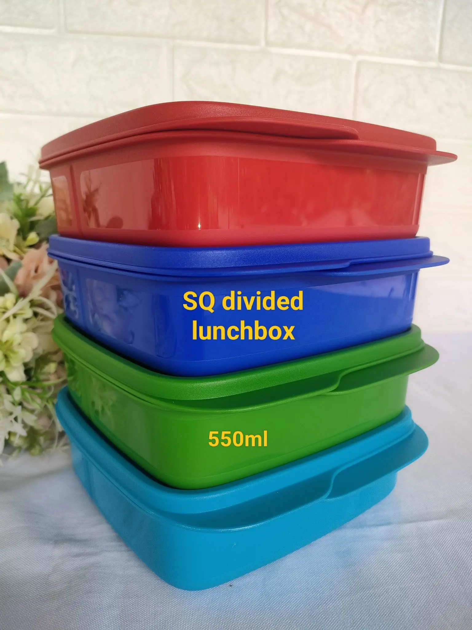 Tupperware Square Divided Lunch Box