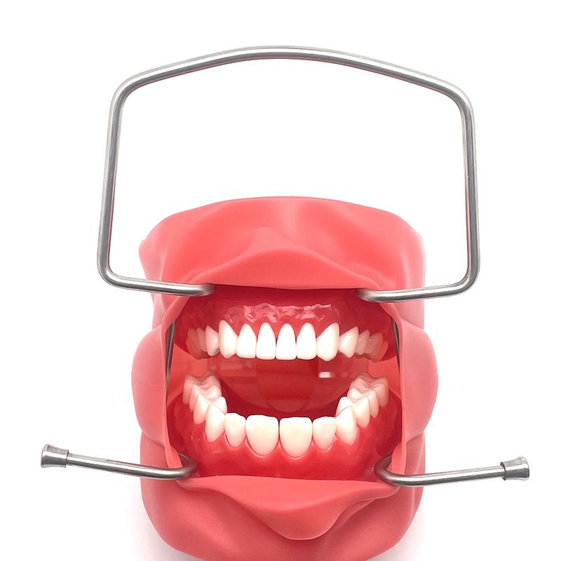 Product Introduction of Dental Mouth Expand Lip Retractor Intraoral Cheek Stainless Steel Retractor Mouths Openers Dental Products 9