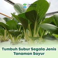 Gambar INFARM - AB Mix Sayuran Daun 1000L Nutrisi Hidroponik Premium , Selada & Sawi Cepat Panen - AB MIX SAYUR 1000 dari Infarm Kota Surabaya 4 Tokopedia