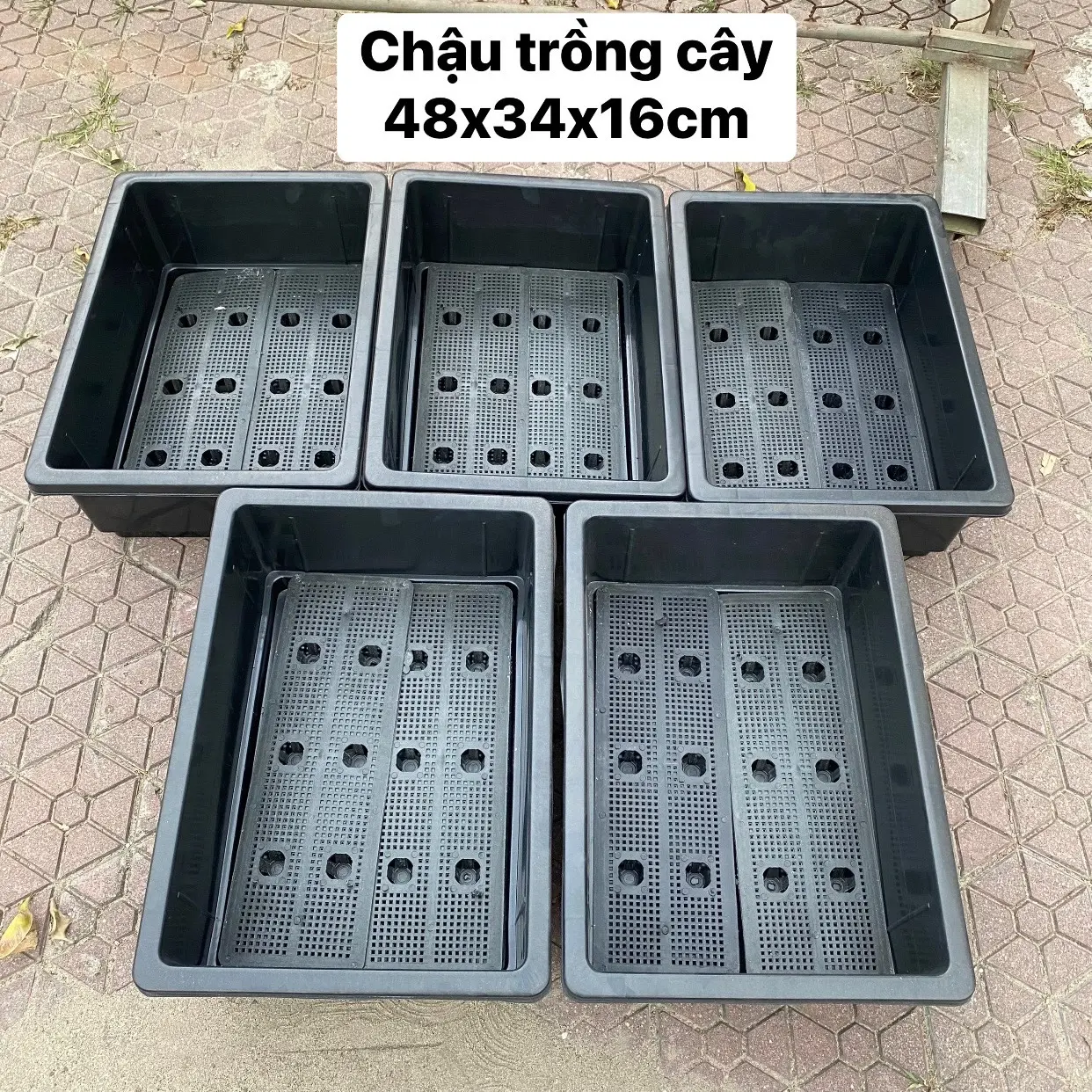 COMBO 5 Khay Rau, Chậu Trồng Cây 48x34x16cm, Trồng Rau Sạch Tại Nhà, Chậu Trồng Cây Giá Rẻ, Dẻo Dai Bền Đẹp