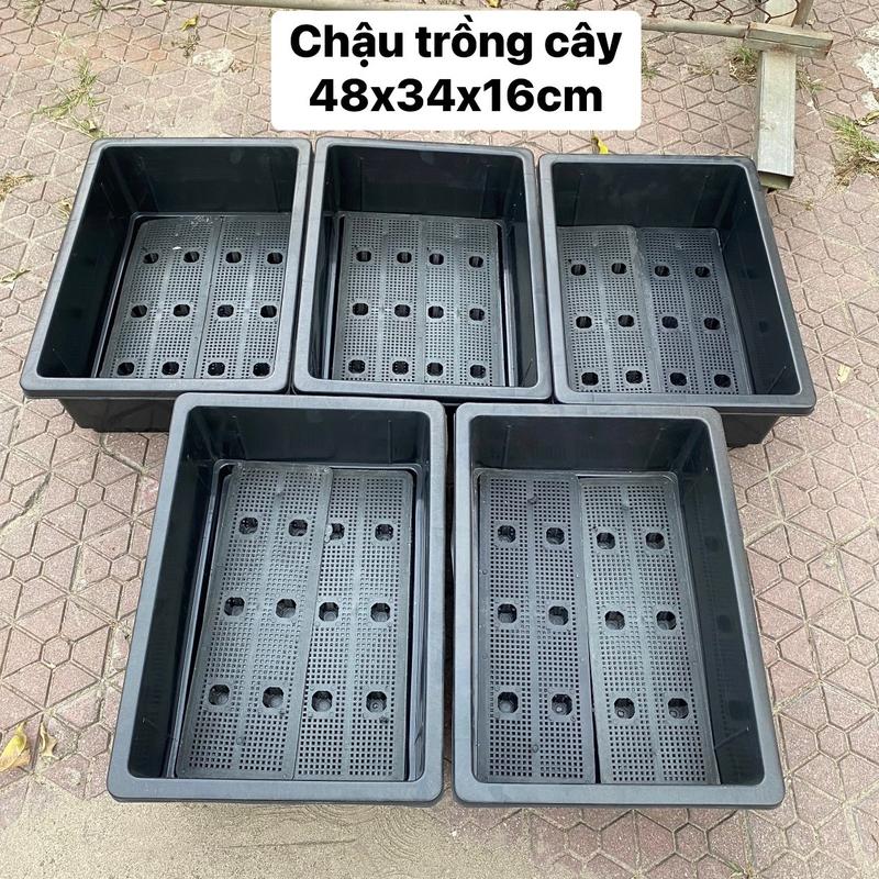 COMBO 5 Khay Rau, Chậu Trồng Cây 48x34x16cm, Trồng Rau Sạch Tại Nhà, Chậu Trồng Cây Giá Rẻ, Dẻo Dai Bền Đẹp