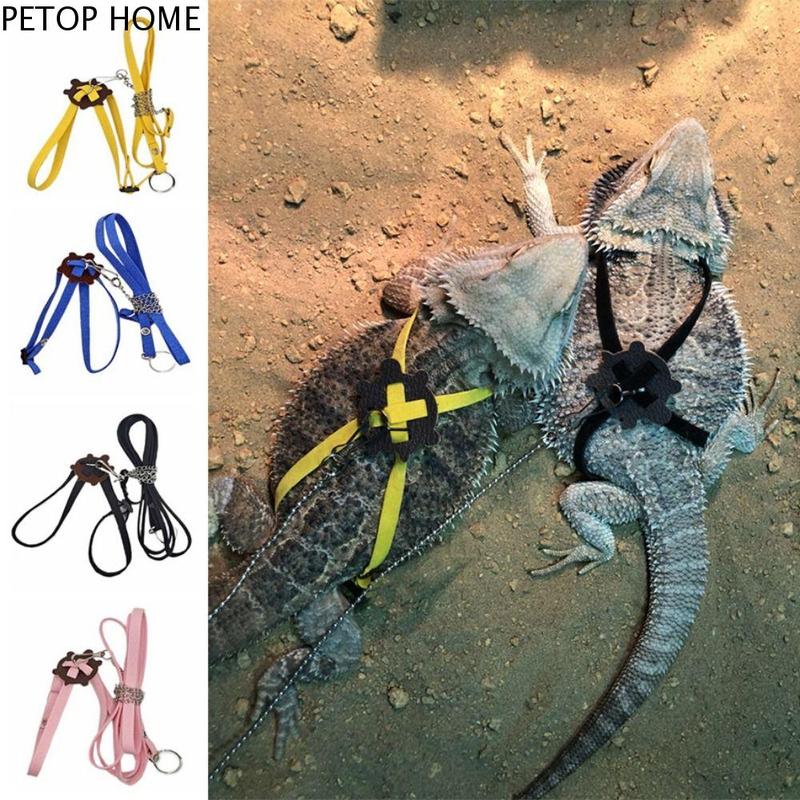 PETOP HOME Tortoise Pulling Rope Creative Pet Walking Harnes - TikTok ...