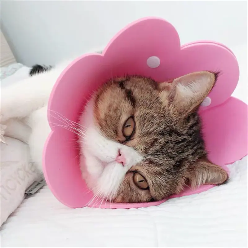Kerah Pemulihan Kucing Penutup Pelindung Hewan Peliharaan Penutup Perawatan Kucing dan Anjing Anti-Menjilat bentuk bunga 7