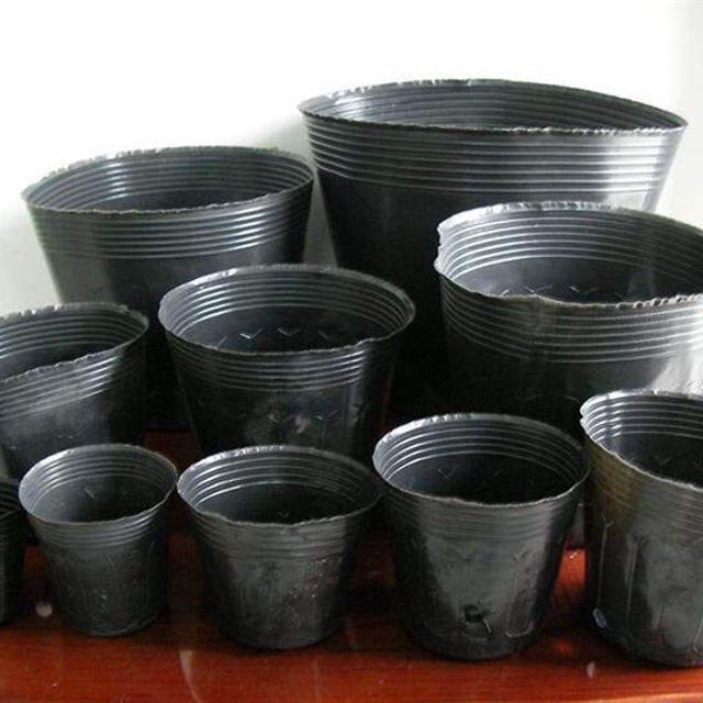 1kg Bầu ươm cây HÀNG ĐẸP đủ size chậu nilon trồng cây túi bầu nhựa đen trồng cây bịch ươm cây chậu ươm