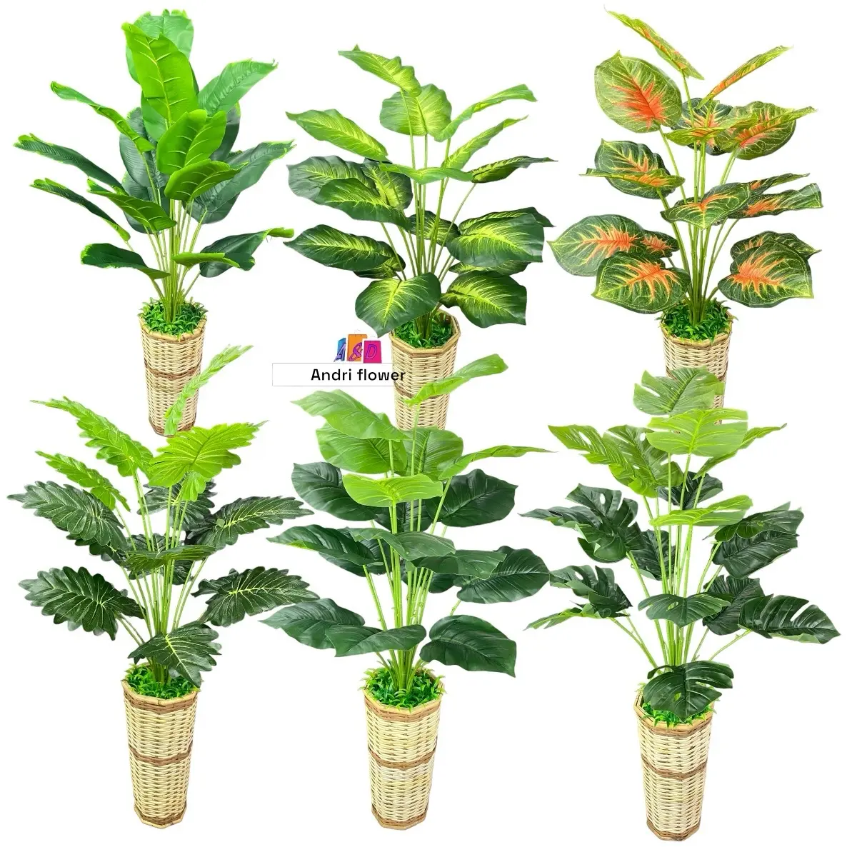 Bunga hias daun keladi cabang 18 kuntum set pot rotan Tanaman