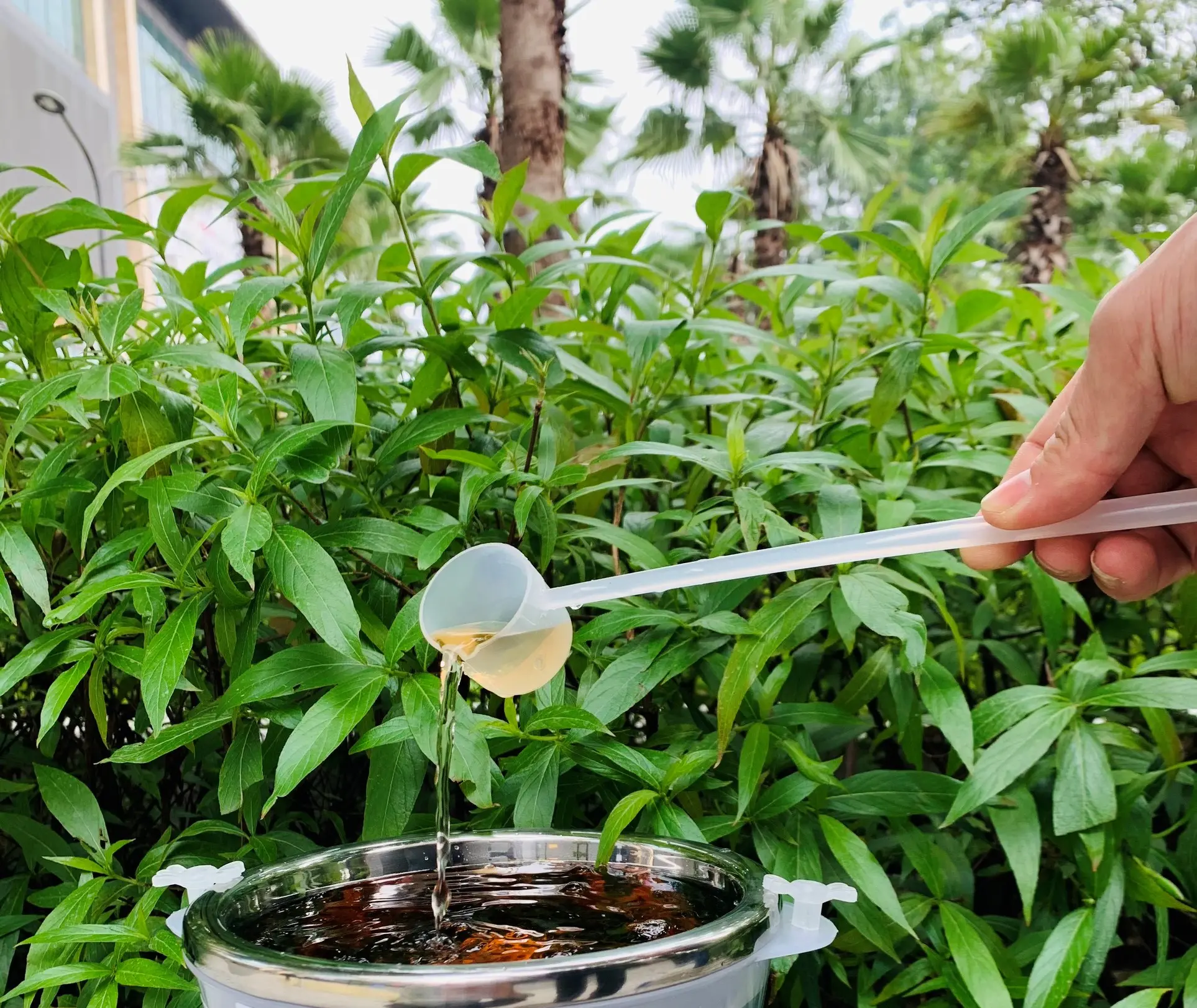 1 Gáo Múc Rượu Bằng Nhựa Nguyên Sinh PP