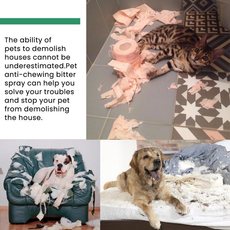 Product Introduction of [Ready Stock & Cod] Yegbong Pet Anti-Chewing Spray Cat Dog Pet Behavior Correction Anti-Biting Scratching Spray 7