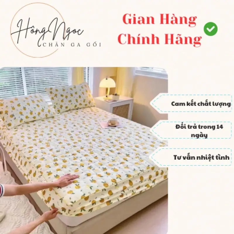 Set ga gối 3 món ga trần côtton xơ đũi đậu nành, thoáng mát , siêu rẻ