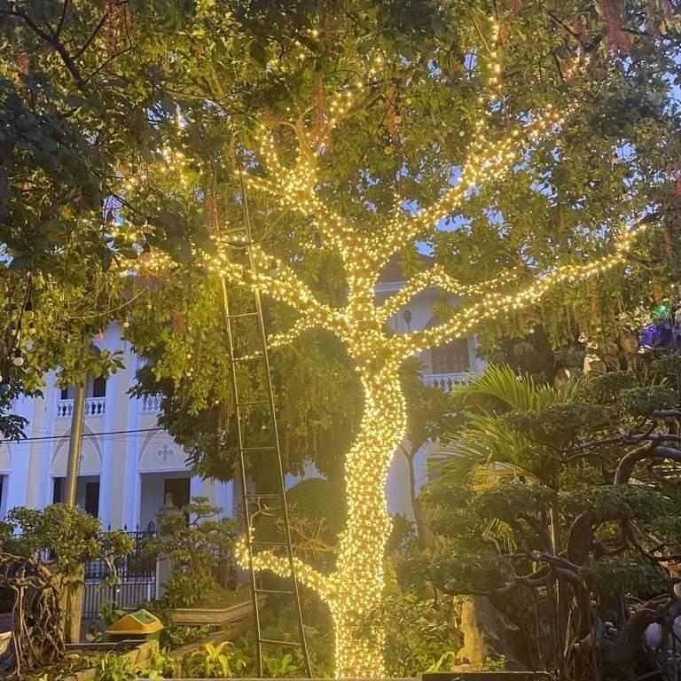  Đèn LED F5 trang trí ngoài trời quấn cây gắn biển quảng cáo hàng chuẩn loại mắt led và dây to 