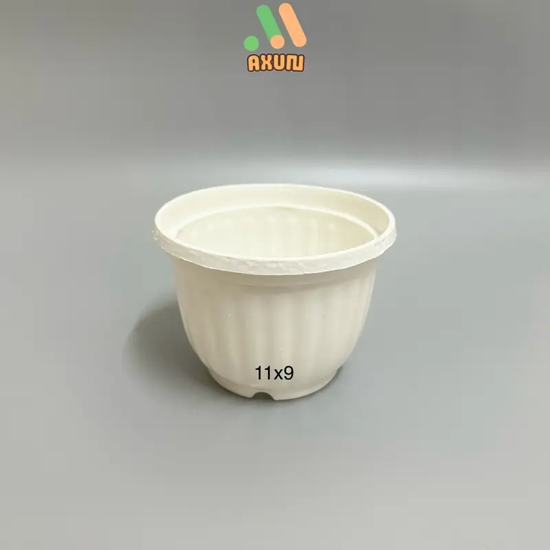 Chậu nhựa cứng tròn trắng mini trồng sen đá và xương rồng 7