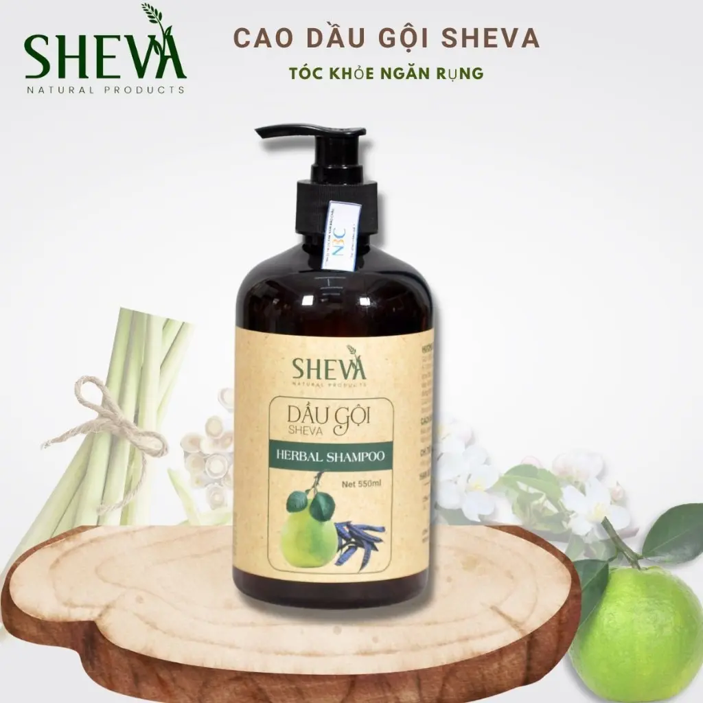 Dầu gội bồ kết bưởi cô đặc, dầu gội thảo dược hỗ trợ mọc tóc hiệu quả SHEVA 550ml !