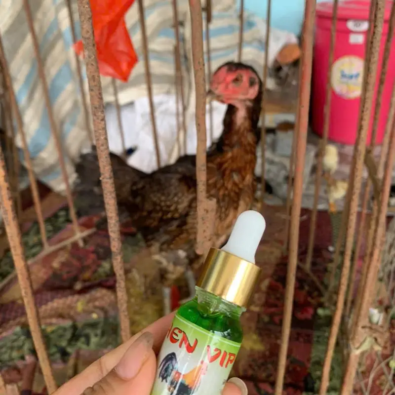 trị hen khò khè 3 trong 1 cho gà, Hen vip xanh (chai 10ml) 2