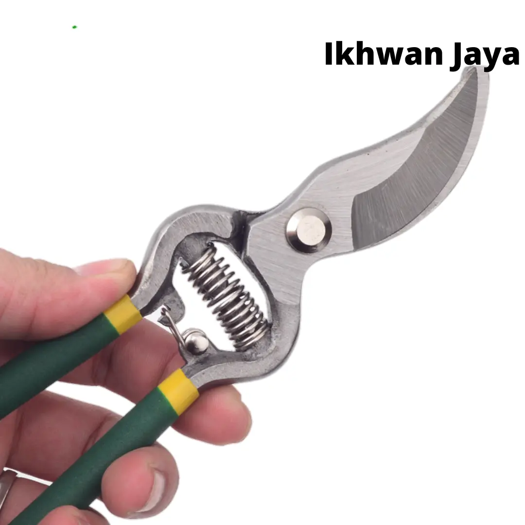 Gunting Pruning / Tang Potong Dahan dan Ranting