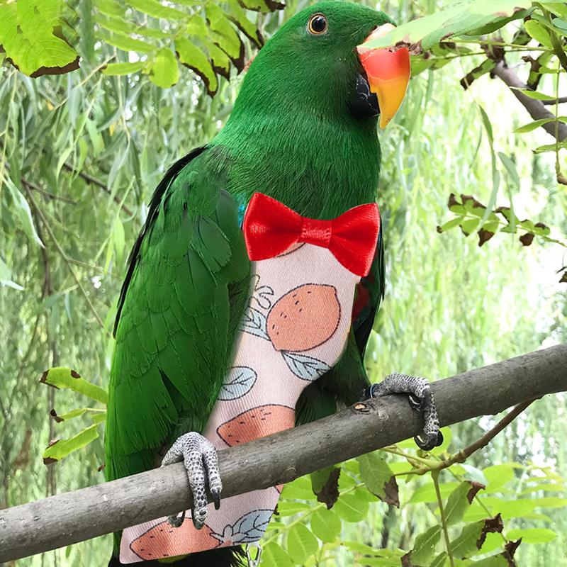 Product Introduction of Parrot Diaper Flight Suit Diaper Clothes Parrot Parakeet Pigeon Medium Large Pet Bird 49