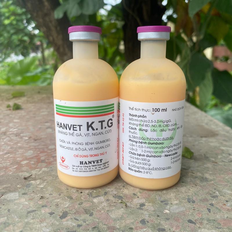  Kháng Thể Gà 100ml Phòng Và Xử Lý Gumboro Newcaslte Hen Khẹc Cho Gà Đá Gà Chọi Gà Tre  K.T.G  
