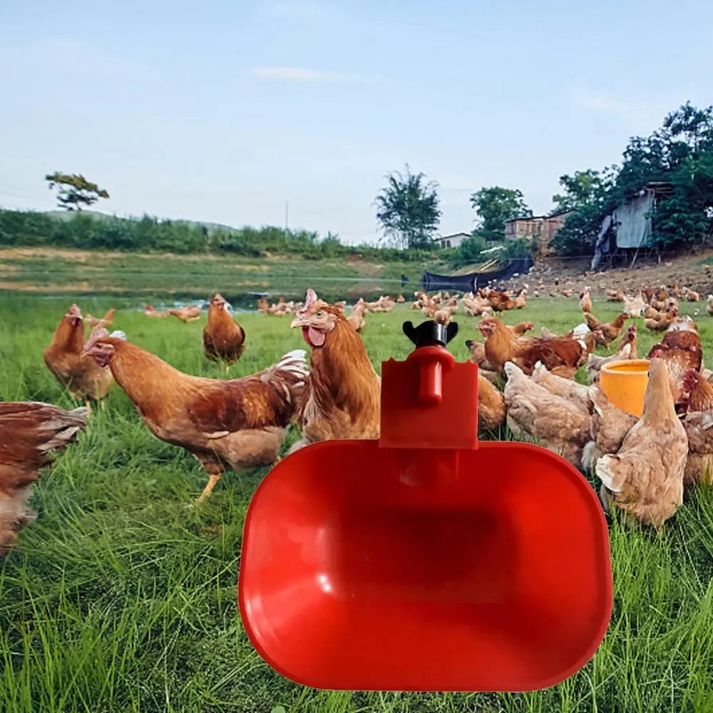 Automatic Chicken Water Cup Chicken Feeder Cup for Geese Hen Duck Water Dispenser Poultry Supplies