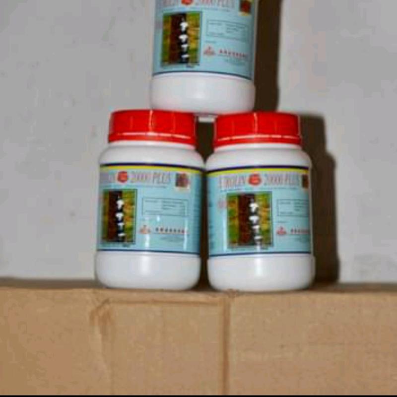 ETEROLIN PENGALAK SUSU KARET 0