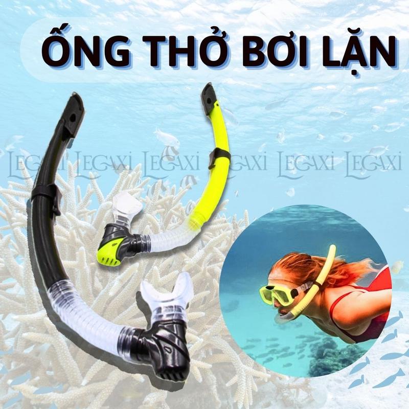 Ống Thở Bơi Lặn Biển Ngắm San Hô Đáy Biển Dã Ngoại Picnic